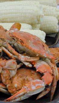 Steamed crabs caught on a Natural Light Fishing Charters Chesapeake Bay crabbing trip.