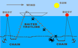 An illustration of how a trotline works.